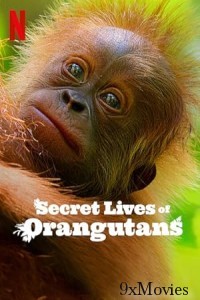 Secret Lives of Orangutans (2024) ORG Hindi Dubbed Movie