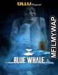 Blue Whale (2021) Hindi Season 1 Complete Show