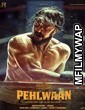 Pailwaan (2019) Bollywood Hindi Full Movie