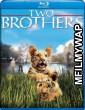 Two Brothers (2004) Hindi Dubbed Movies