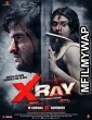 X Ray: The Inner Image (2019) Bollywood Hindi Movie