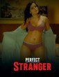 Perfect Stranger (2023) Hindi HottyNotty Short Film