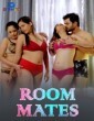 Room Mates (2024) Dekhho Hindi Short Film