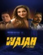 Wajah (2024) Season 1 Hindi Complete Web Series